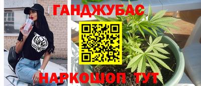 стафф Брянск