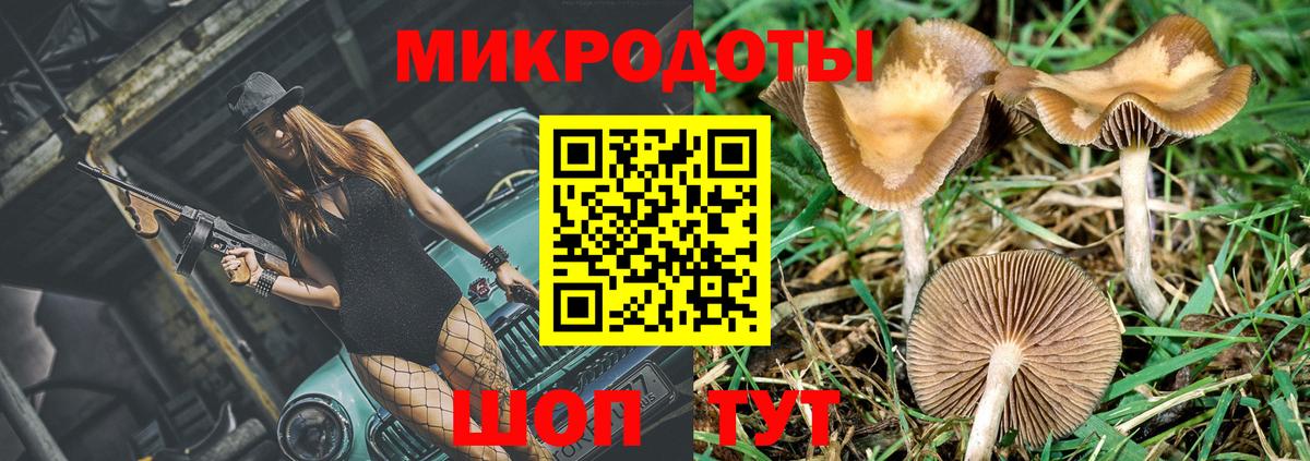 Красноярск  Галлюциногенные грибы GOLDEN TEACHER  Вход с VPN 