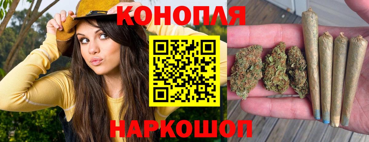 Канабис OG Kush Красноярск